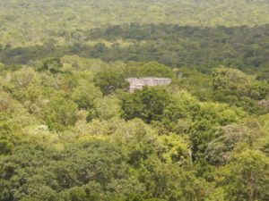 Calakmul 32