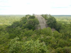 Calakmul 37