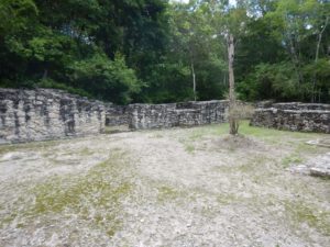 Calakmul 5