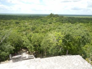 Calakmul 55