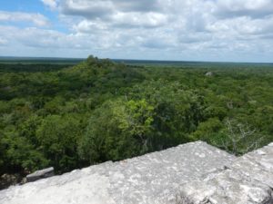 Calakmul 56