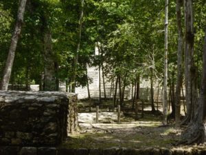 Calakmul 7