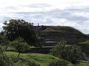 monte alban 1