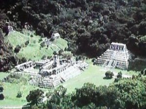 palenque 106