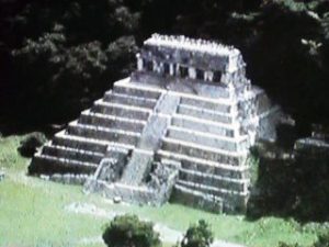 palenque 107