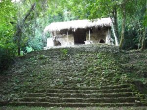 palenque 18