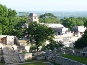 palenque 23