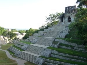 palenque 24