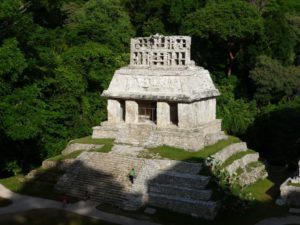 palenque 29