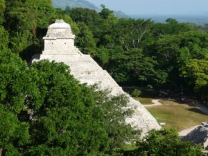 palenque 34