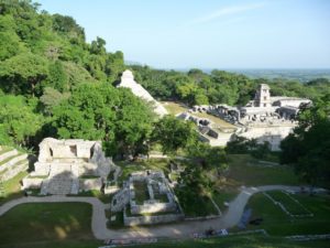 palenque 35