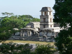 palenque 40