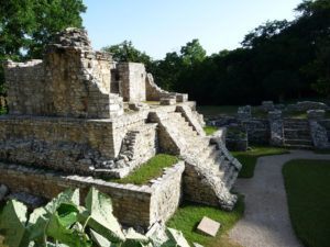 palenque 41