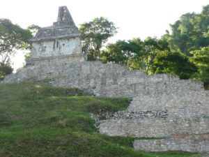 palenque 44