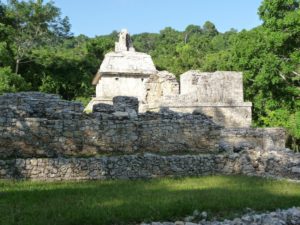 palenque 45