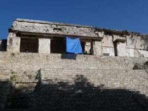 palenque 47