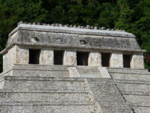 palenque 53