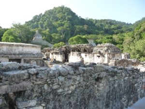 palenque 54