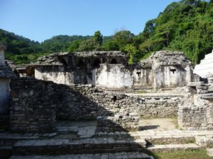 palenque 57