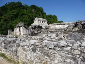 palenque 64