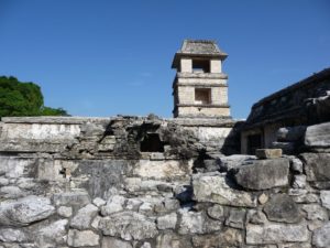 palenque 65