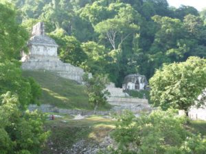 palenque 66