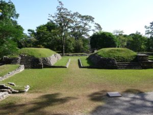 palenque 75