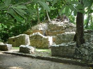 palenque 76