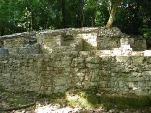 palenque 77