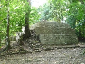 palenque 78