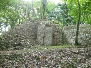 palenque 79