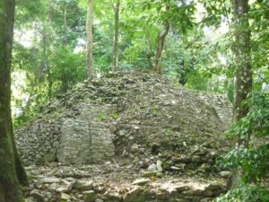 palenque 80