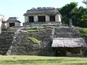 palenque 82