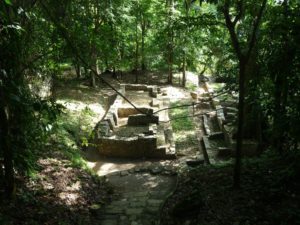 palenque 85