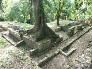 palenque 86