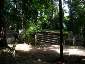 palenque 87