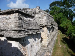 palenque 91