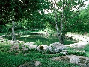 Cenote Xlacah - Dzibilchaltún