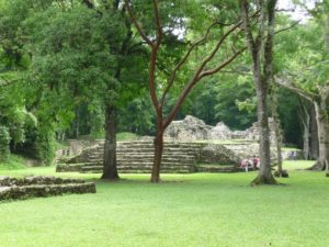 yaxchilan 11