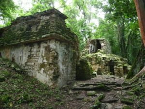 yaxchilan 47