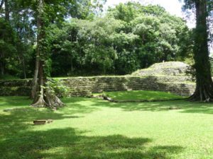 yaxchilan 56