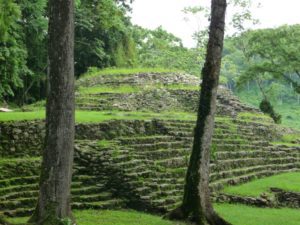 yaxchilan 8