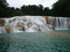 agua azul 28