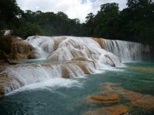 agua azul 29