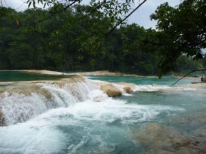 agua azul 39