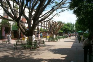 tlaquepaque 5