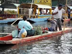 xochimilco 11