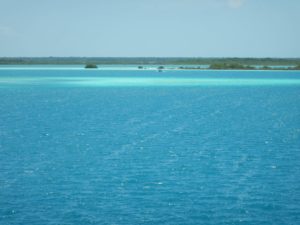 Bacalar 1