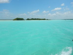 Bacalar 11