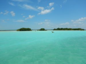 Bacalar 12